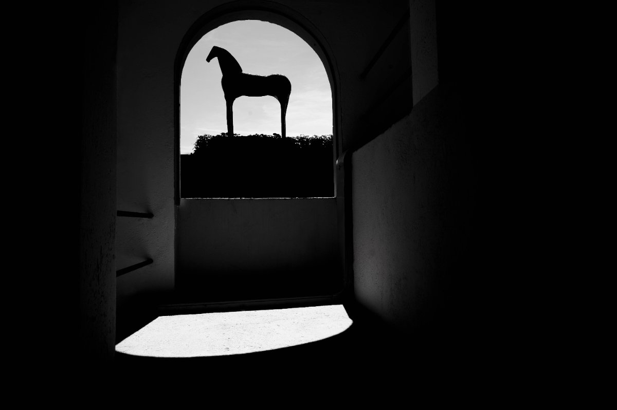 CHIAROSCURI AL VITTORIALE